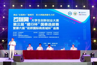 江苏互联网大学创新创业大赛