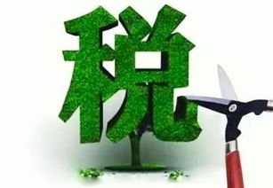 国家鼓励,措施,创新,创业