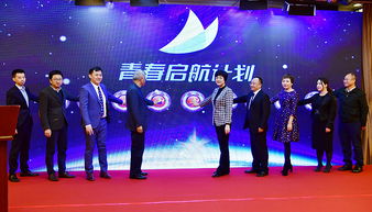 公益项目创业创新