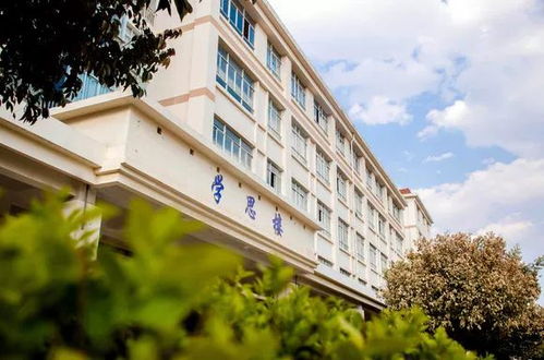 云南大学,学院,校区,滇池