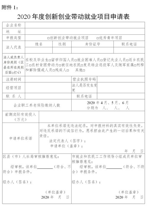 创新创业带动就业申请报告