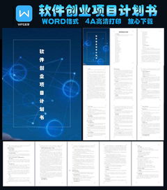 计划书,开发软件,创新,创业