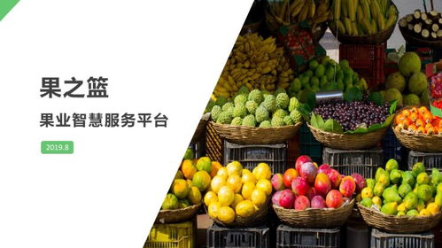 创新创业计划书大学生直播