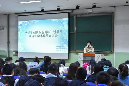 创新创业实训的收获与体会,创业实训收获和体会,创新创业实战实训收获与体会