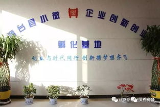 创新创业基地运营专员,创新创业运营分析,创新创业运营计划