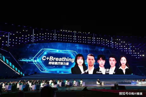 互联网+大学生创新创业大赛作品范例,互联网+大学生创新创业官网,互联网+大学生创新创业大赛获奖作品