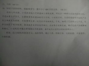创新创业报告作文800字
