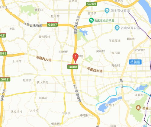 麓谷科技创新创业园是什么街道