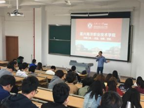 大学创业创新创优