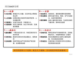 创新创业项目swot分析报告