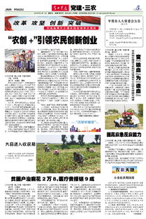 农民创新创业意见