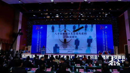 理解,创新,报道,创业