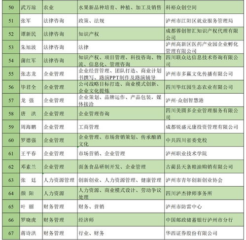 指导老师,评价,意见,创新