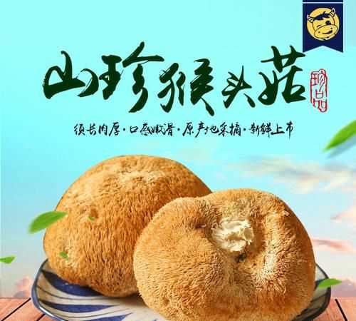 发好的猴头菇可以冷冻保存吗