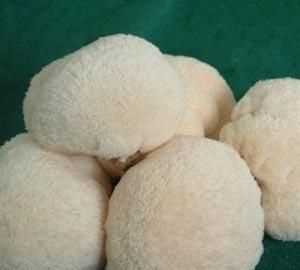 新鲜野生猴头菇怎么保存