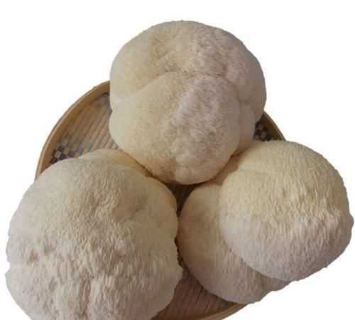 新鲜猴头菇可以直接冷冻吗