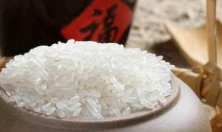 米有米虫该怎么办,大米里面发现了米虫怎么办图10