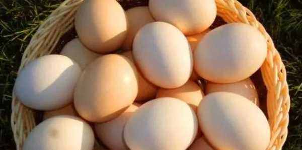 鸡蛋保鲜能放多久,鸡蛋放冰箱里保鲜期是多久图3