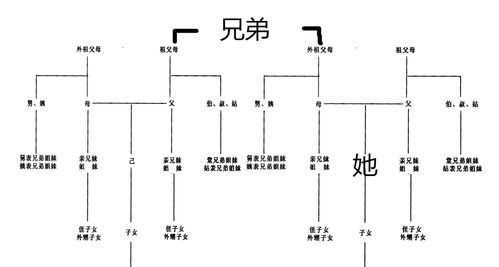 直系亲属包括哪些兄弟姐妹是不是直系亲属