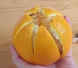 橘子皮能吃吗