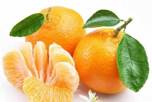 柚子与橙子有什么区别
