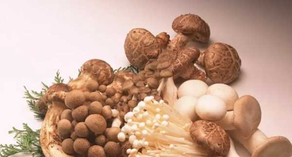 蘑菇放冰箱长白毛能吃,蘑菇放冰箱长白毛还能吃吗图3