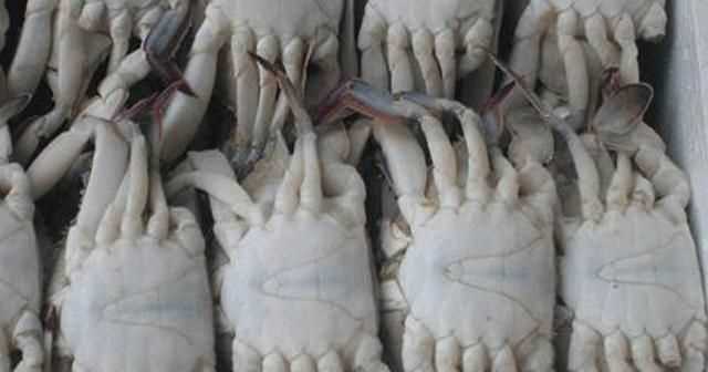 熟螃蟹冷冻能放多久，螃蟹煮熟后冷冻能保存多久？图5
