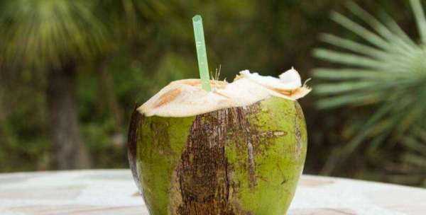 椰子怎么打开,椰子怎么打开喝汁图1