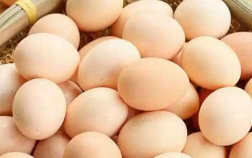 为什么美国的鸡蛋是白色的,饲料的颜色有所不同吗图9