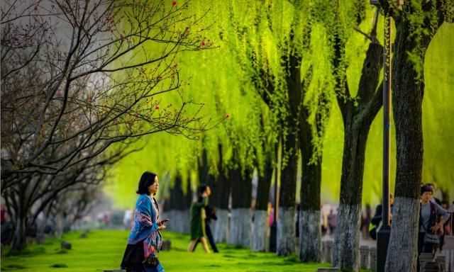 含苞欲放百花争艳花红柳绿春色满园是什么季节