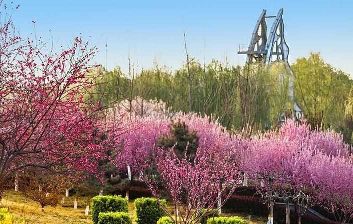 花红柳绿是什么季节的词语