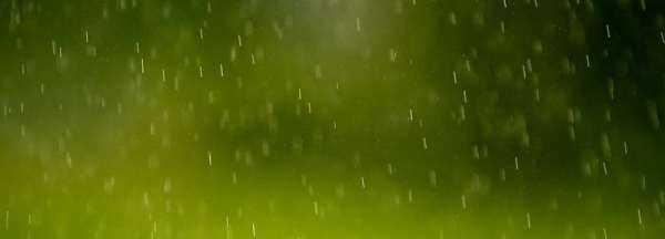 哪些小动物能预知下雨,哪些小动物能预知下雨的视频图1