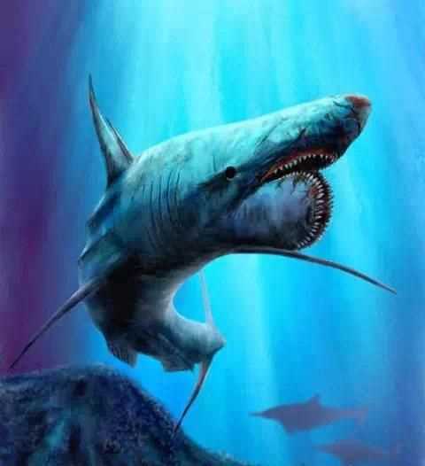 有海中霸王之称的是什么动物