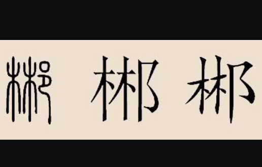 木木耳是什么字,一个木一个耳读什么字啊图4