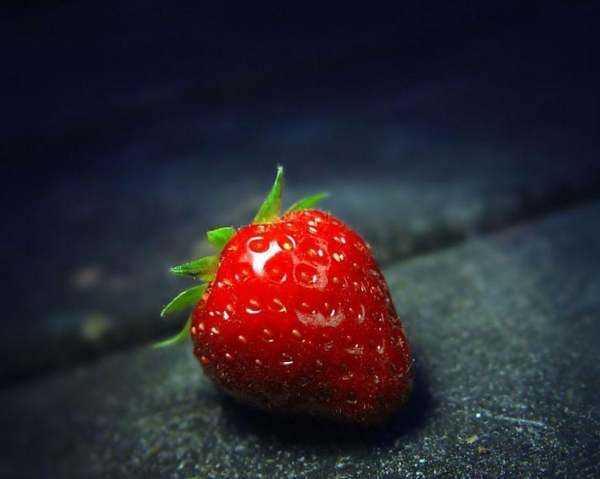 草莓不甜怎么处理,自家种的草莓图片图4
