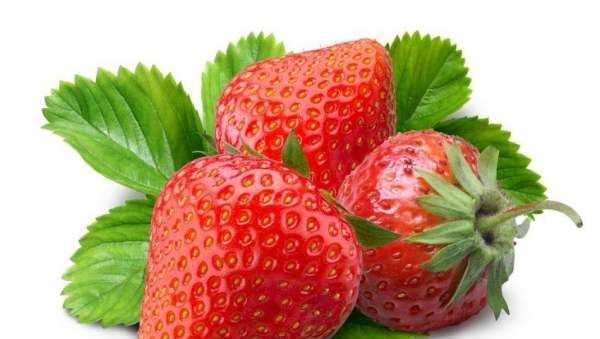 草莓不甜怎么处理,自家种的草莓图片图5