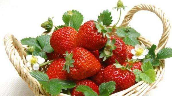 草莓不甜怎么处理,自家种的草莓图片图6
