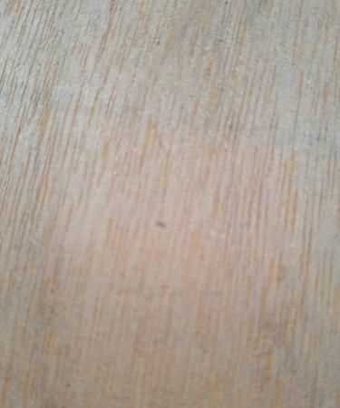 棕床垫里有很多头发丝一样细小，像虱子形状白色接近透明的小虫子，怎么消灭