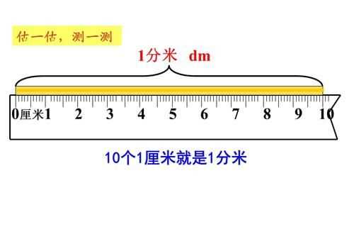 一分米的长度实际图片图片