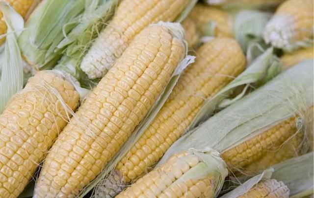 吃玉米有助于消化吗