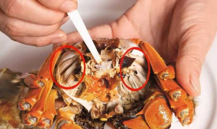 没煮熟的螃蟹吃了会怎么样吗