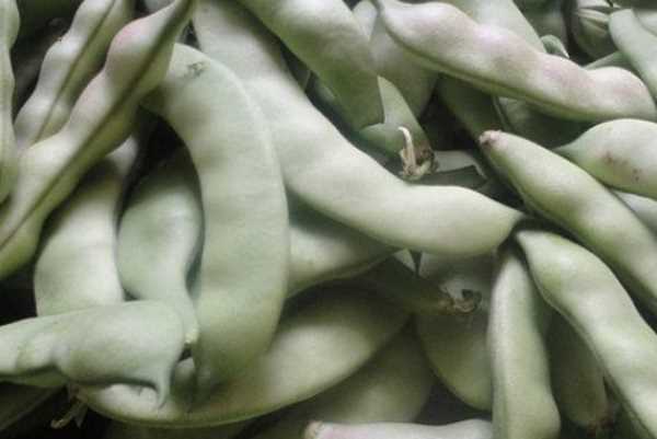 豆角怎样冻才能保持绿色好吃,油豆角怎么冻速冻才好吃图7