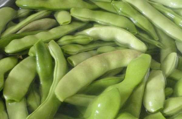 豆角怎样冻才能保持绿色好吃,油豆角怎么冻速冻才好吃图8