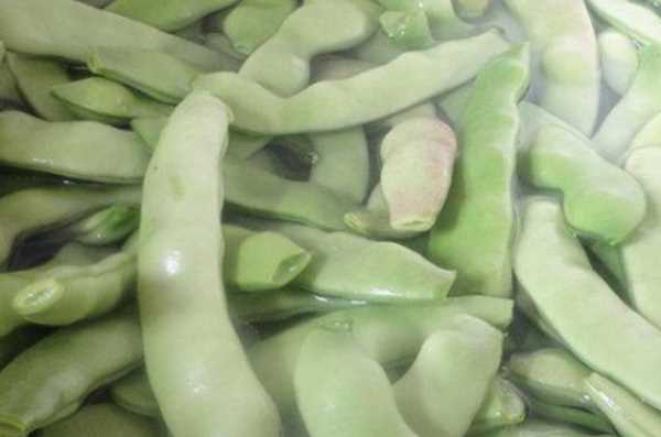 豆角怎样冻才能保持绿色好吃,油豆角怎么冻速冻才好吃图10