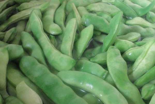豆角怎样冻才能保持绿色好吃,油豆角怎么冻速冻才好吃图11