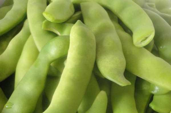 豆角怎样冻才能保持绿色好吃,油豆角怎么冻速冻才好吃图13