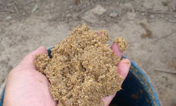 豆渣晒干可以当花土,豆渣能做花的肥料吗?图1