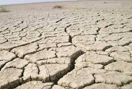 干旱的危害有哪些,旱灾有哪些危害
