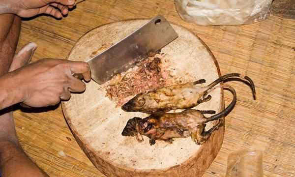 老鼠肉可以吃,老鼠肉可以吃么图3