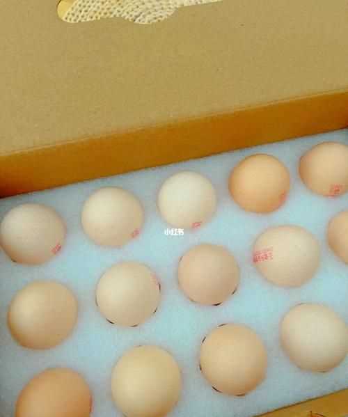 把生鸡蛋小火加热可以变成无菌蛋吗